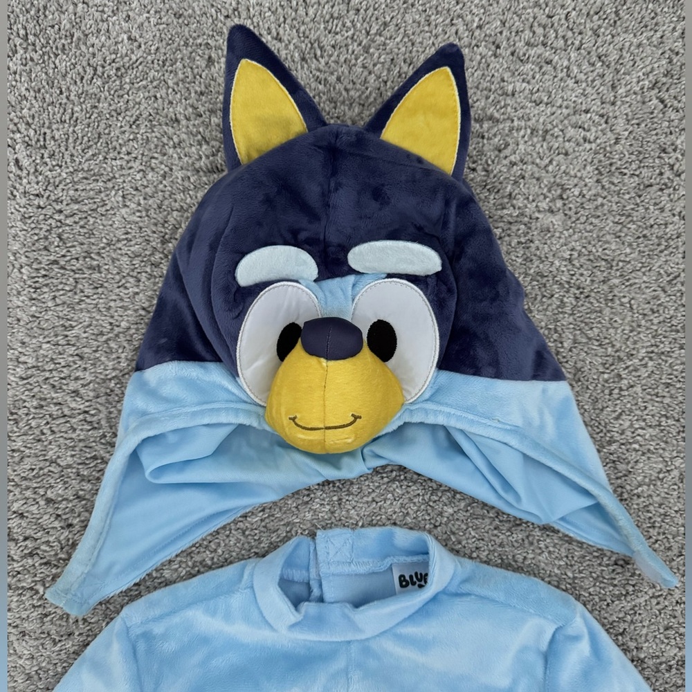 Bluey Costume - Picture 4 of 7